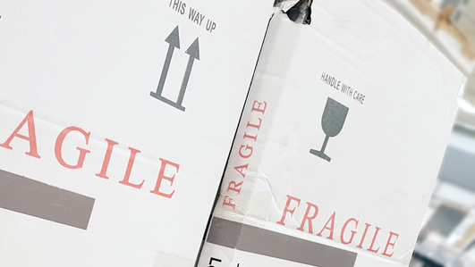 Is your organisation fragile? Get ready for digital transformation.